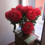 Bed and Breakfast H24 Ραγκούσα