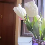 H24 Ραγκούσα