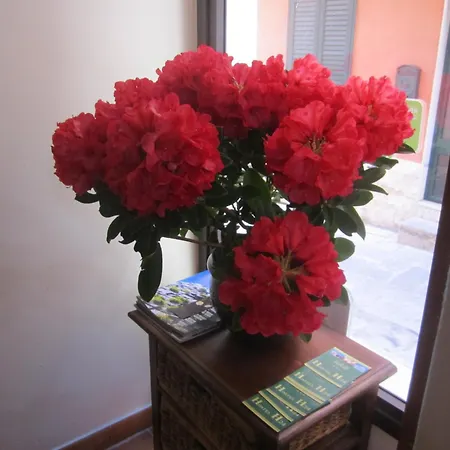 فندق مبيت وإفطار H24 راغوزا